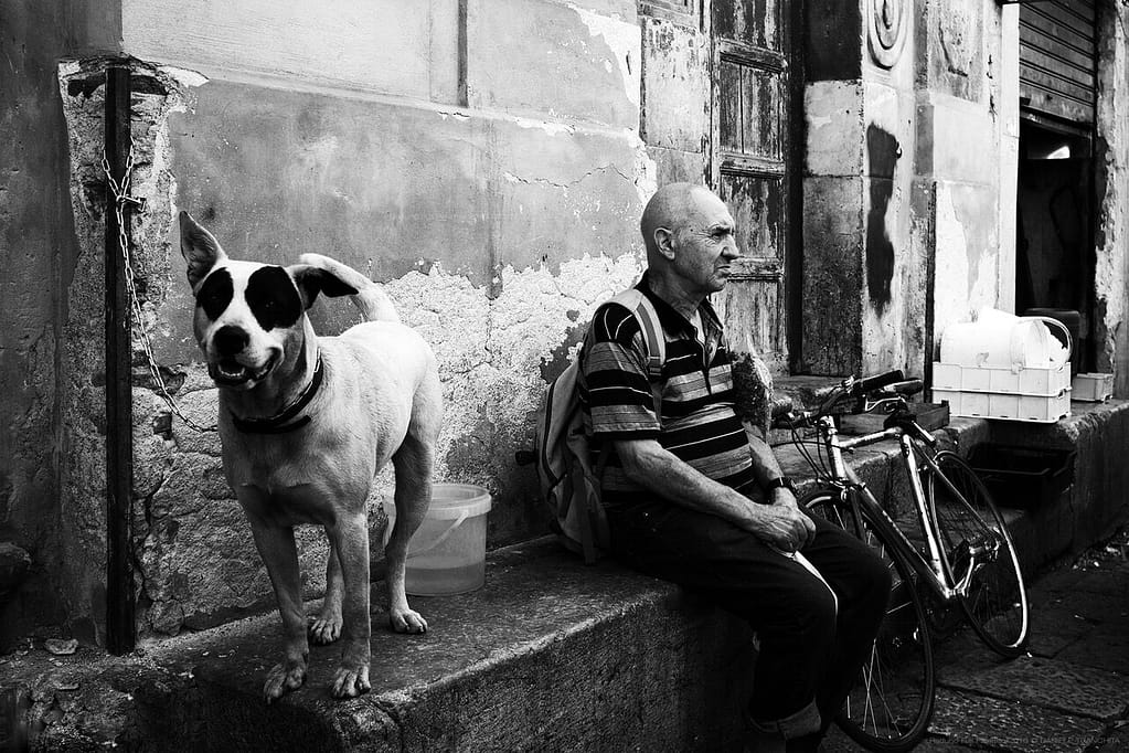 Uomo seduto accanto alla bicicletta con un cane in una strada di città, esempio di street photography che racconta la vita quotidiana.