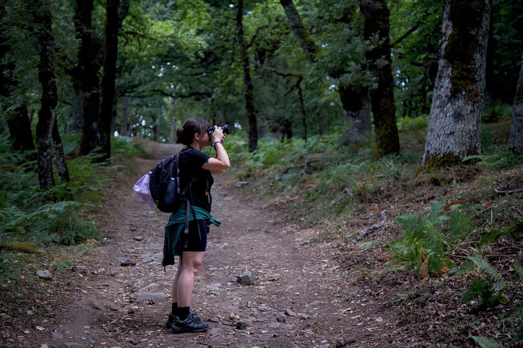 Una donna con lo zaino in spalla fotografa in piedi su un sentiero sterrato, in un bosco di querce con felci, con gli alberi dietro di lei sfocati.