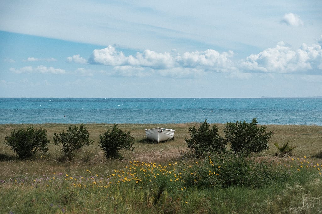 Barca bianca in un prato con oleandri e fiori gialli davanti al mare