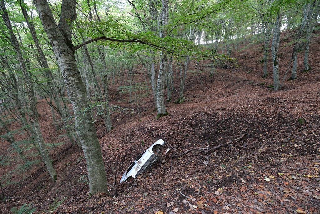 Macchina bianca abbandonata tra i faggi del bosco