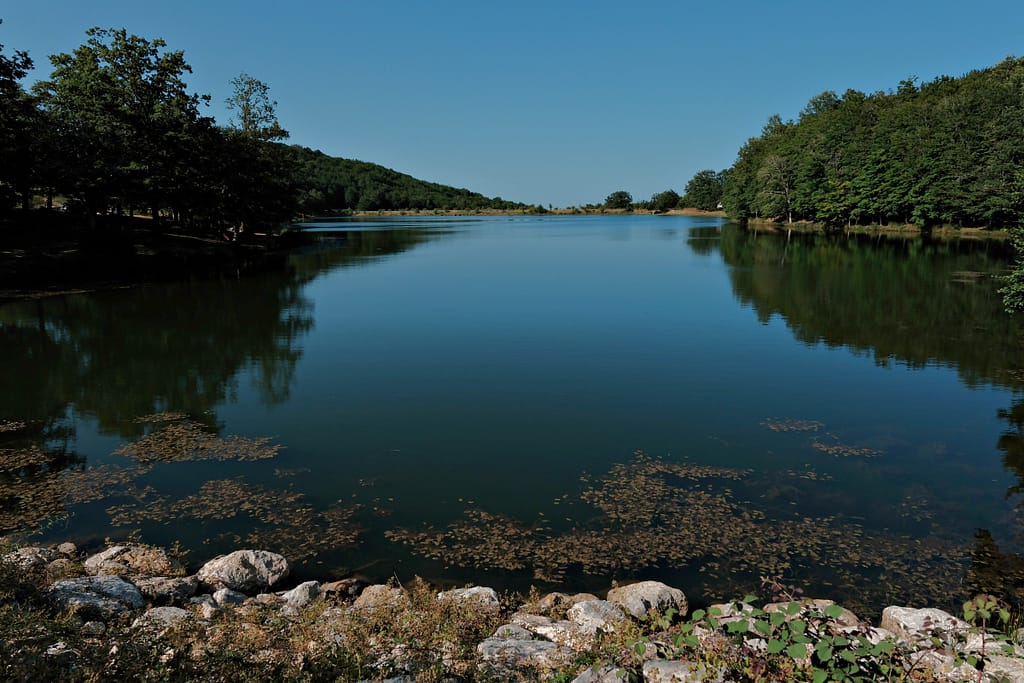 Il lago Maulazzo sui Nebrodi, circondato da boschi, con l'acqua ferma che riflette gli alberi e rocce bianche in primo piano.