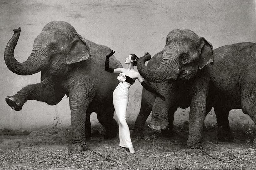richard avedon